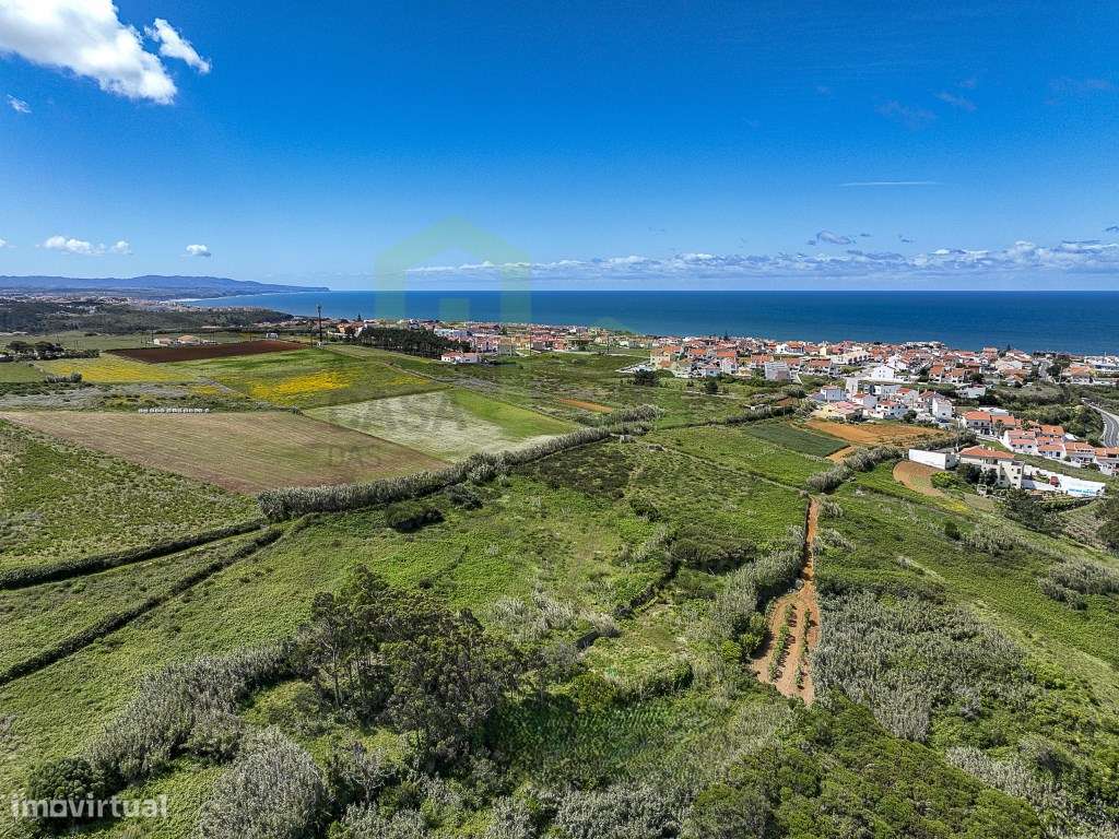 Terreno - Ericeira 5 km, A Casa das Casas - Grande imagem: 5/12