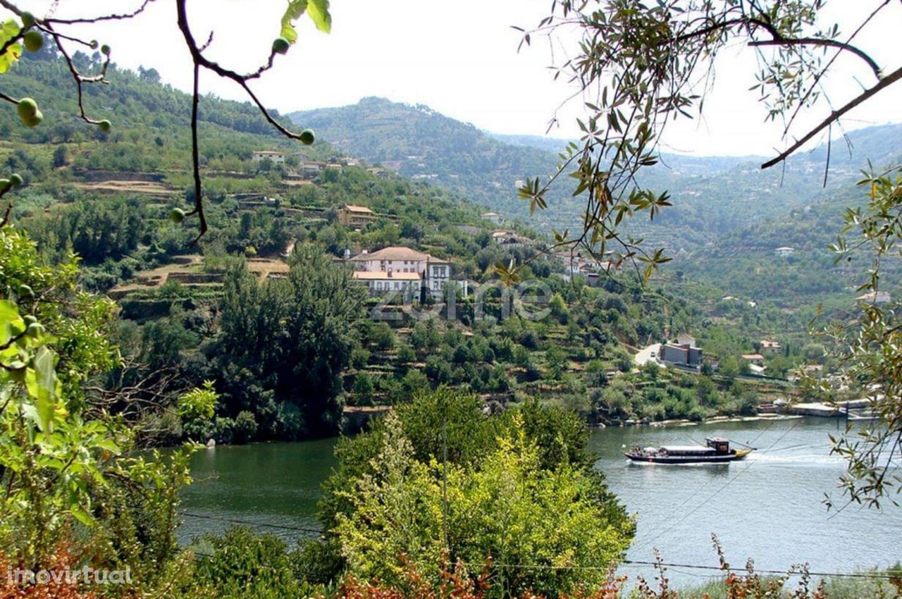 Quinta em Porto de Rei, Mesão Frio, com vistas para o Douro.