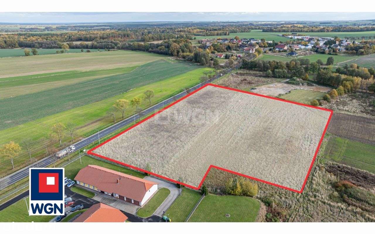 Działka, 24 500 m², Kruszyn - Pełny obrazek: 5/13