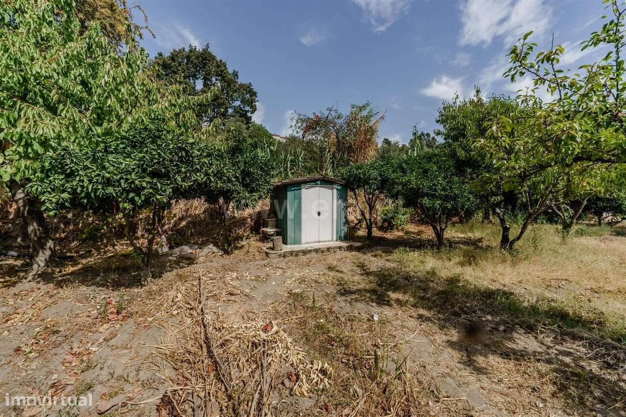 Terreno / Covilhã, Tortosendo-9