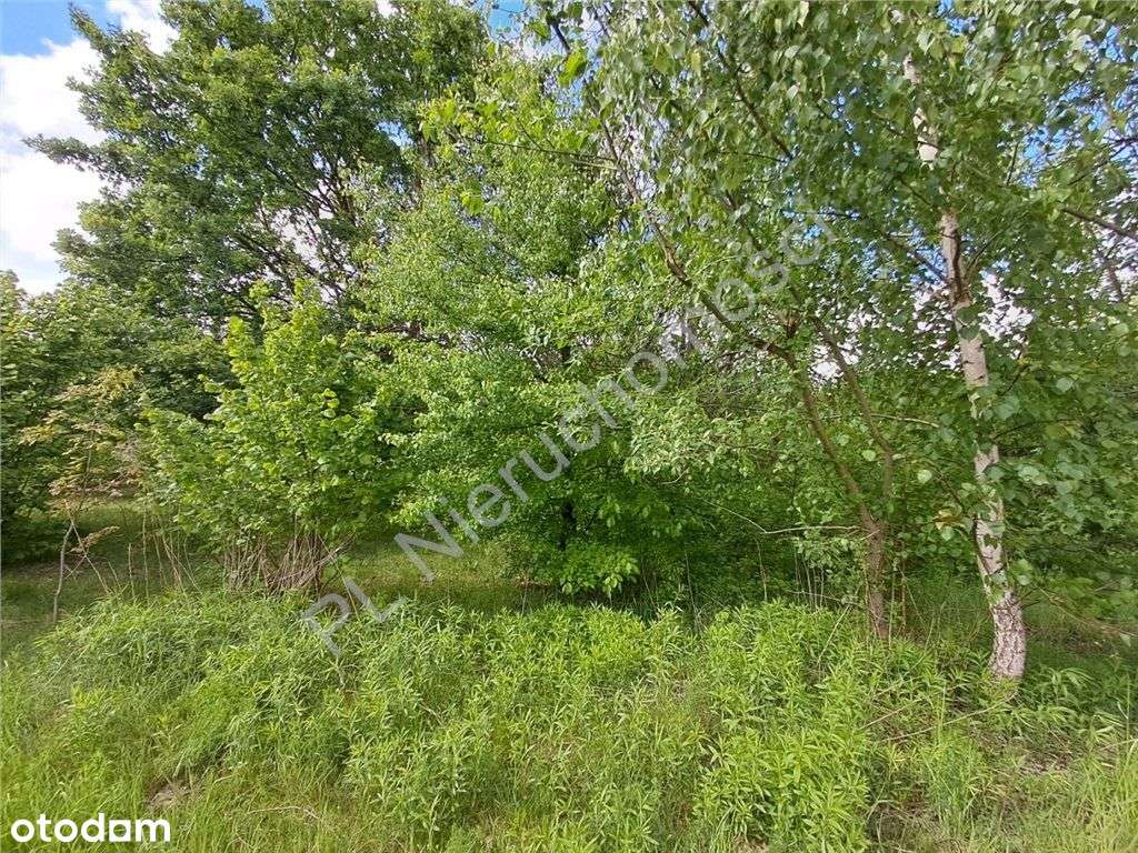 Działka w spokojnej okolicy - Pełny obrazek: 4/4