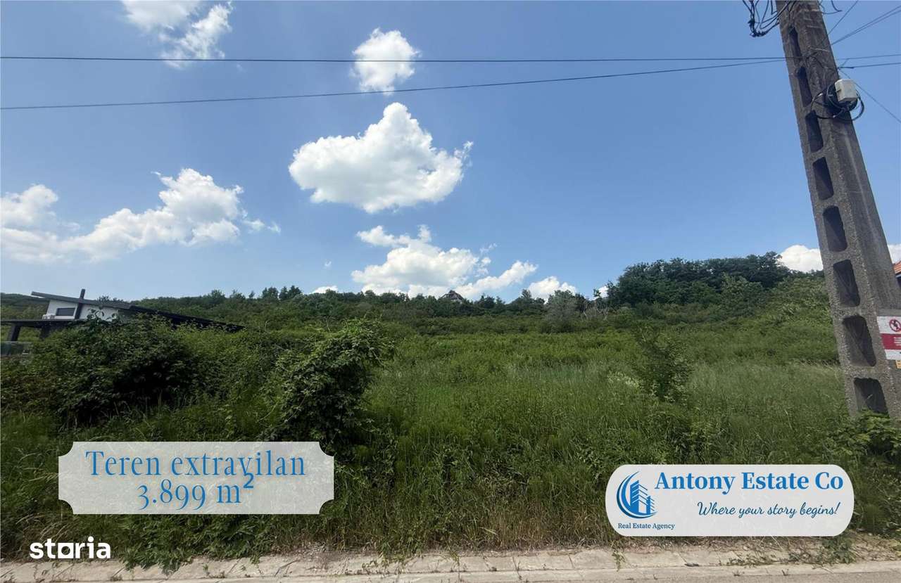 Teren intravilan, de vanzare - Oradea, Bihor - Imagine principală: 3/5