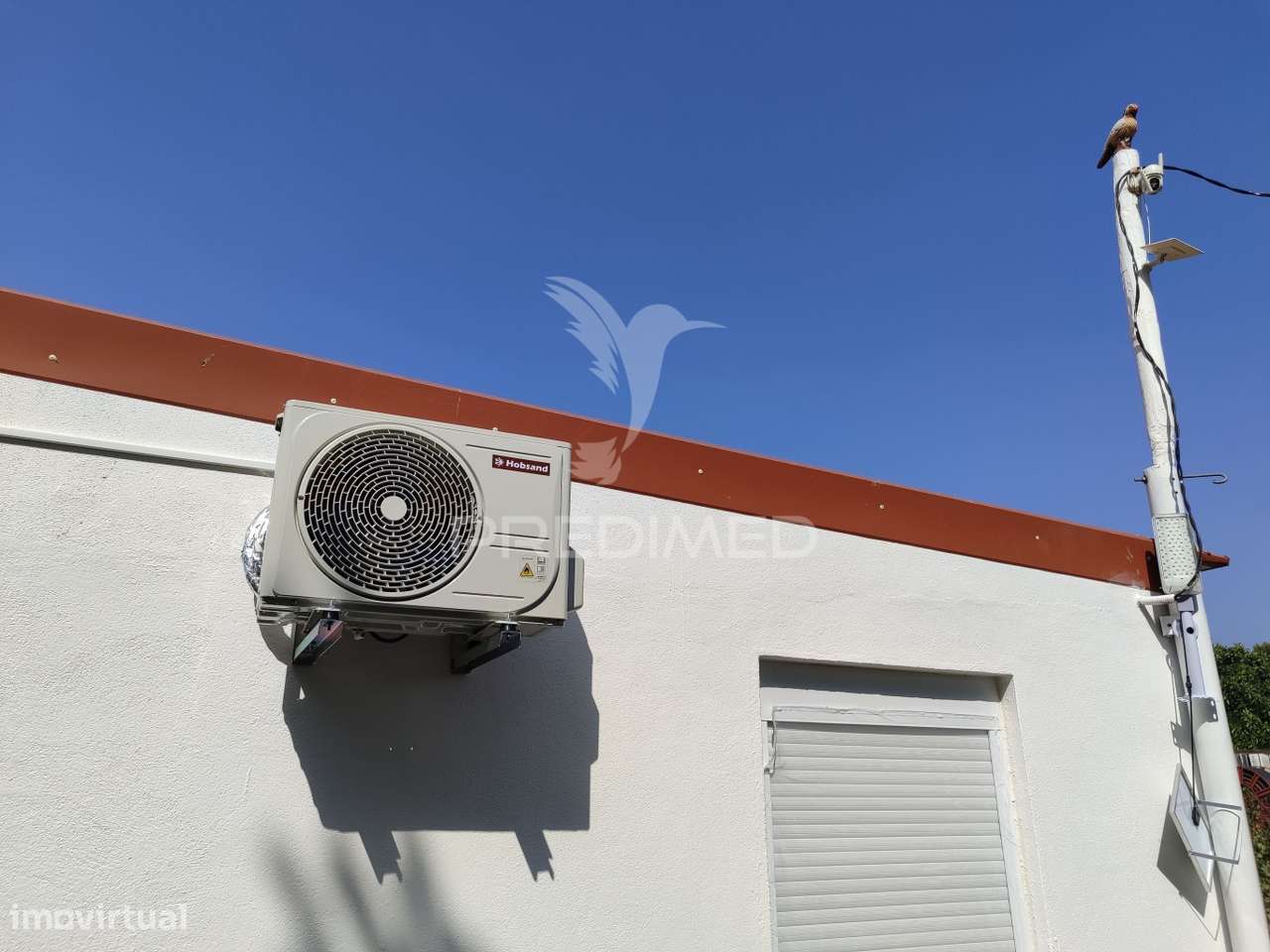 Quinta T1 . Terreno 12400 m2 a 4 km Almeirim e 50 minutos de Lisboa - Grande imagem: 5/30