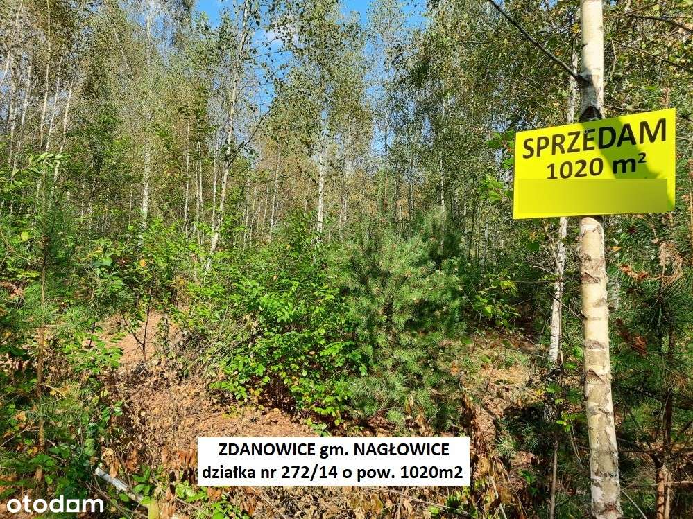 Tania działka rekreacyjna 1020m2 tylko 49.900 zł (brutto z 23% VAT)-0
