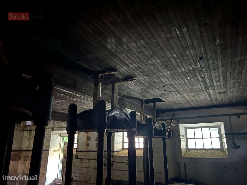 Lagar em Coimbra - Torres do Mondego (Coimbra) Portugal-28