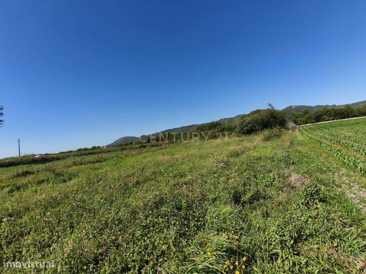 Terreno com 360m2 nas Marinhas com Excelente Localização - Grande imagem: 5/10