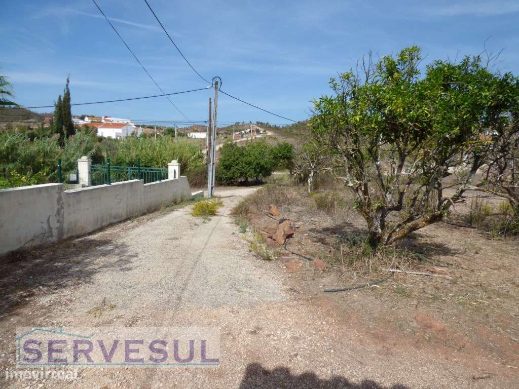 Boa Oportunidade de Investimento! Quinta com duas casas destinadas ...-12