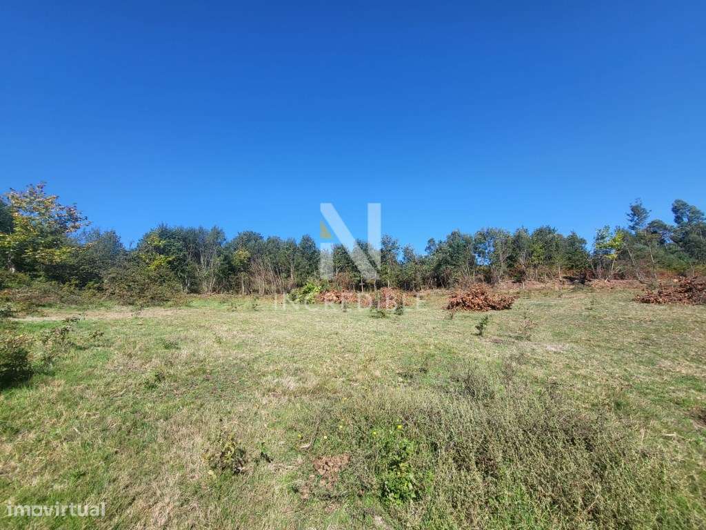 Terreno Rústico 5527 m² em Bucos, Cabeceiras de Basto - Grande imagem: 5/12