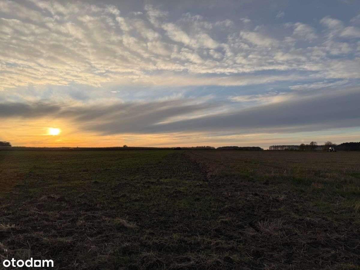 Działki rolne na sprzedaż | bliskość rzeki-9