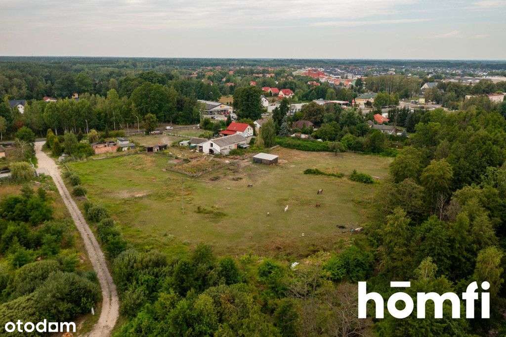 Duża działka z ogromnym potencjałem! - Pełny obrazek: 5/10