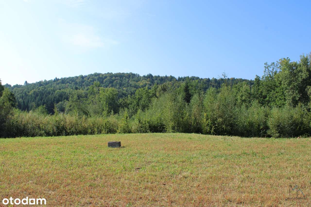 Kobylec, gmina Łapanów – działka budowlana z własnym stawem.-10