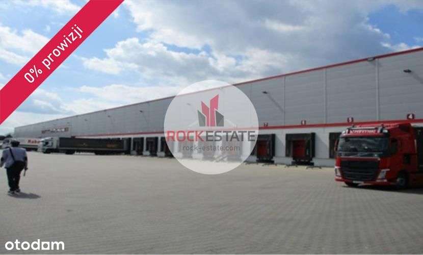 Magazyn na wynajem 5619 m2 od zaraz - 0% prowizji - Pełny obrazek: 4/4
