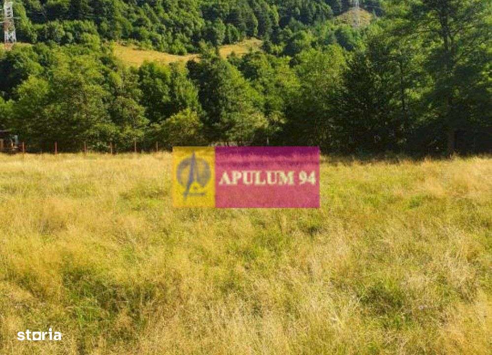 Teren Județul Vâlcea - Brezoi, Valea lui Stan - Imagine principală: 4/20