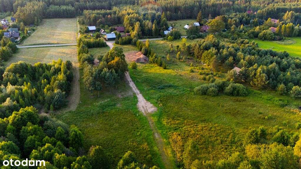 Działka budowlana nad jeziorem k/Augustowa - Pełny obrazek: 4/13