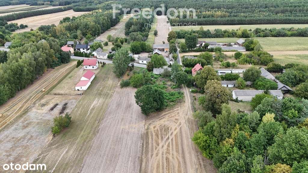 Nieruchomość we wsi Julianów 22 ary, drewniany dom - Pełny obrazek: 5/20