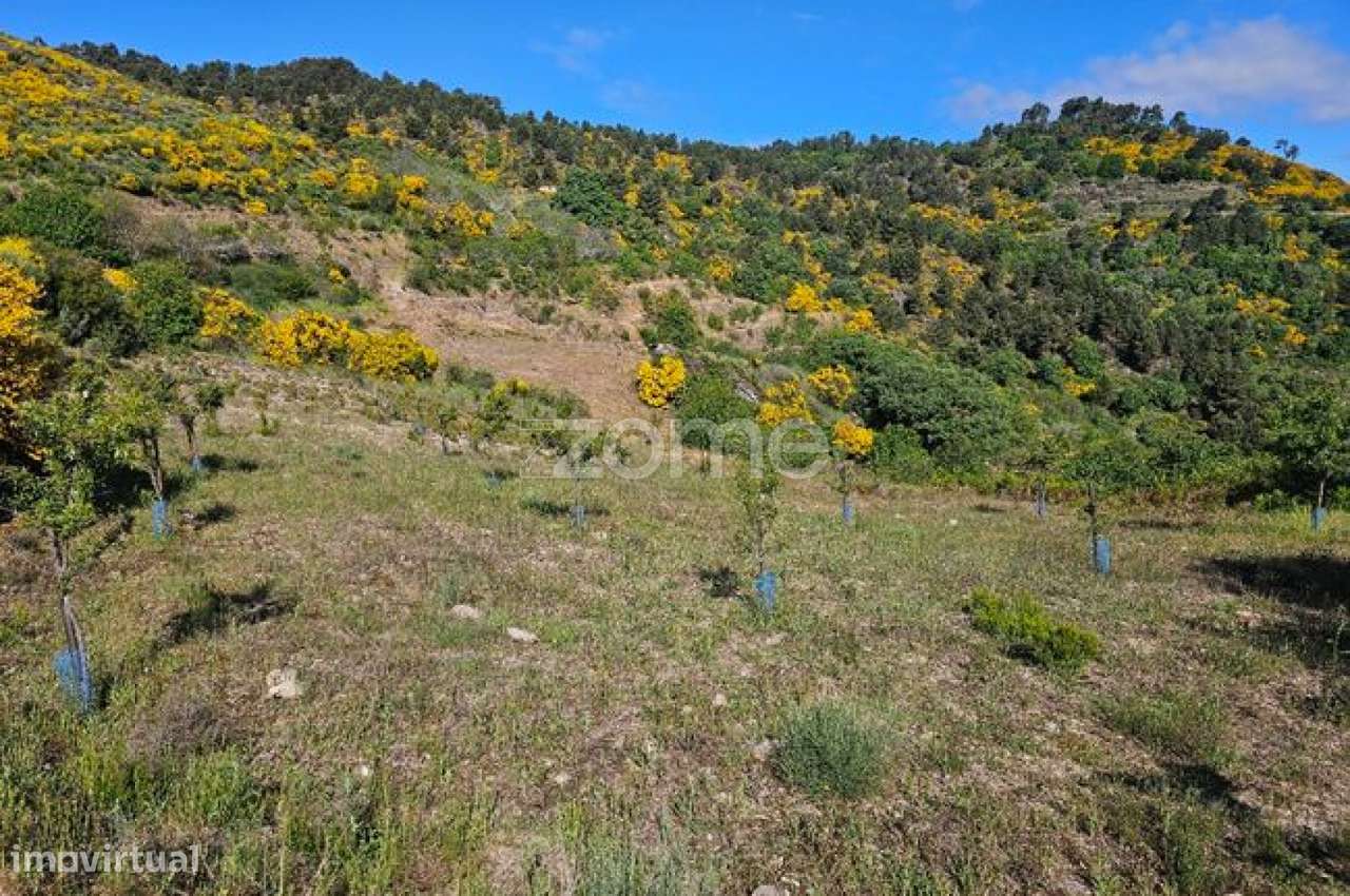 Terreno com 6 hectares - Grande imagem: 5/22