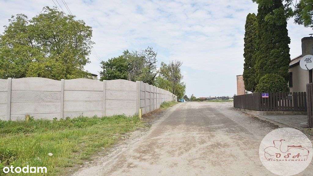 Działka z Mpzp 0,8 ha Dębienko k. Stęszewa-13