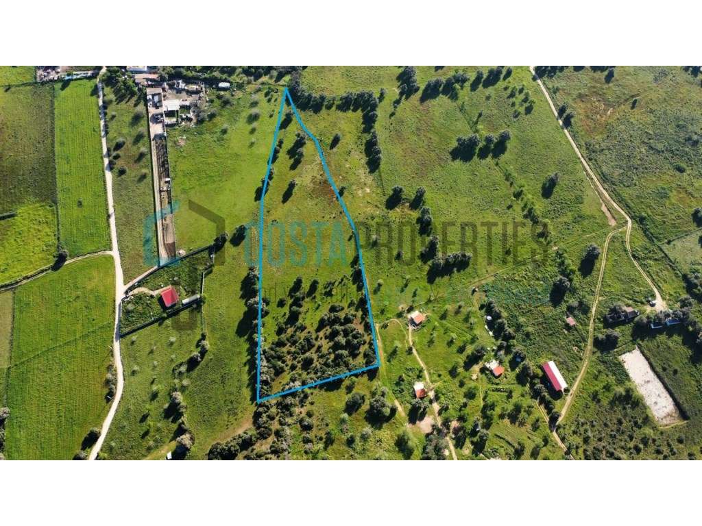 Terreno Rústico de 1,8 ha - Oportunidade de Investimento Próxima de... - Grande imagem: 5/60