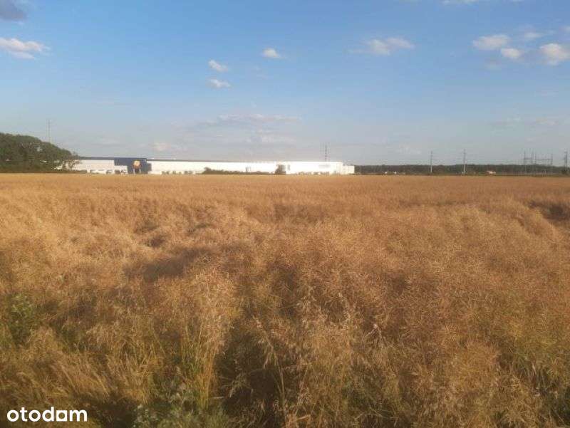 Grunt przemysłowy pod zabudowę w atrakcyjnej lokalizacji - Pełny obrazek: 2/5