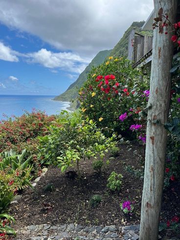 Deslumbrante Moradia com Vista para o Mar em São Miguel | 3 Quartos co-22