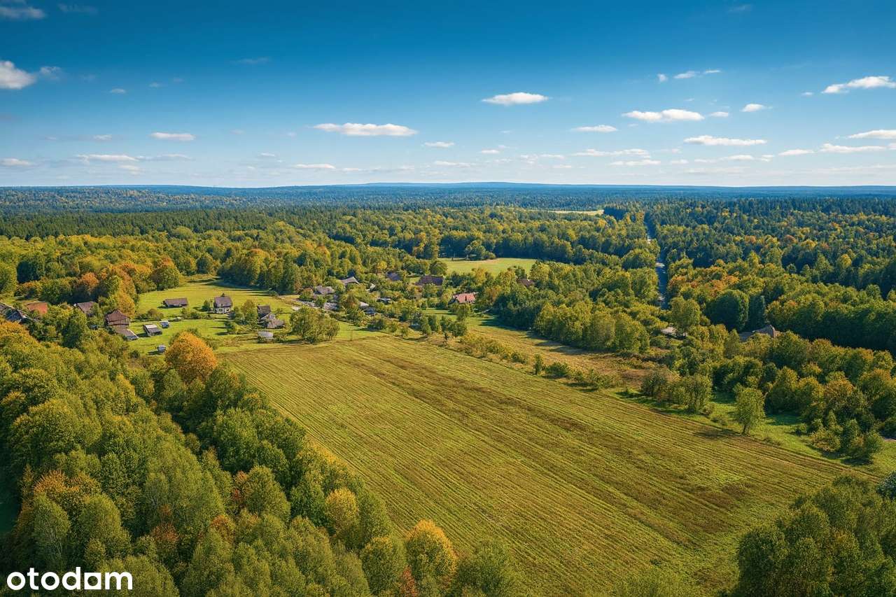 Siedlisko na szczycie Mazowsza – 3,8 ha z potencjałem rozwoju.-7