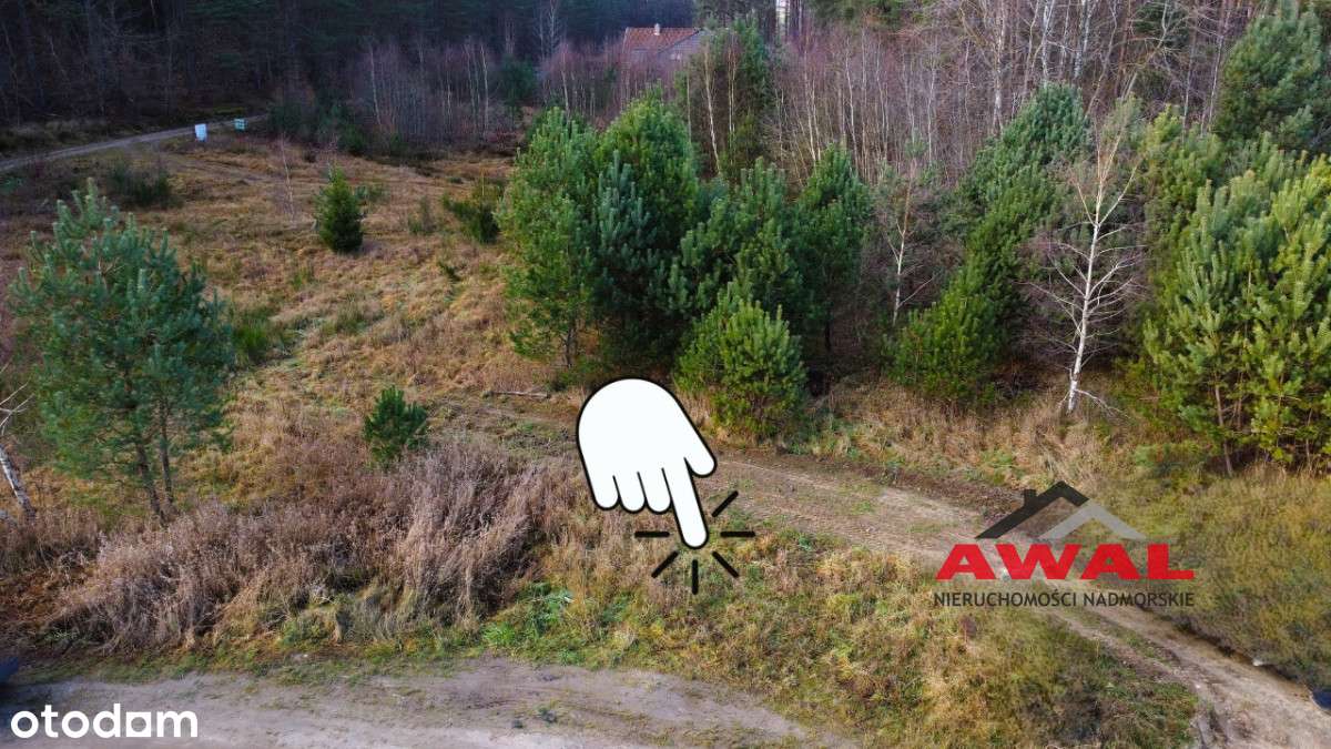 Działka bardzo blisko lasu - cisza i spokój - Pełny obrazek: 4/17