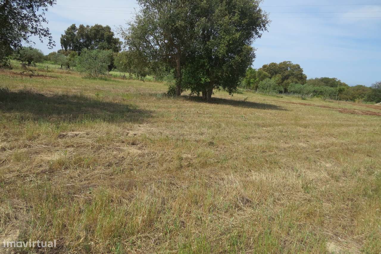 Terreno rústico de 17.000 m² em Melides-6