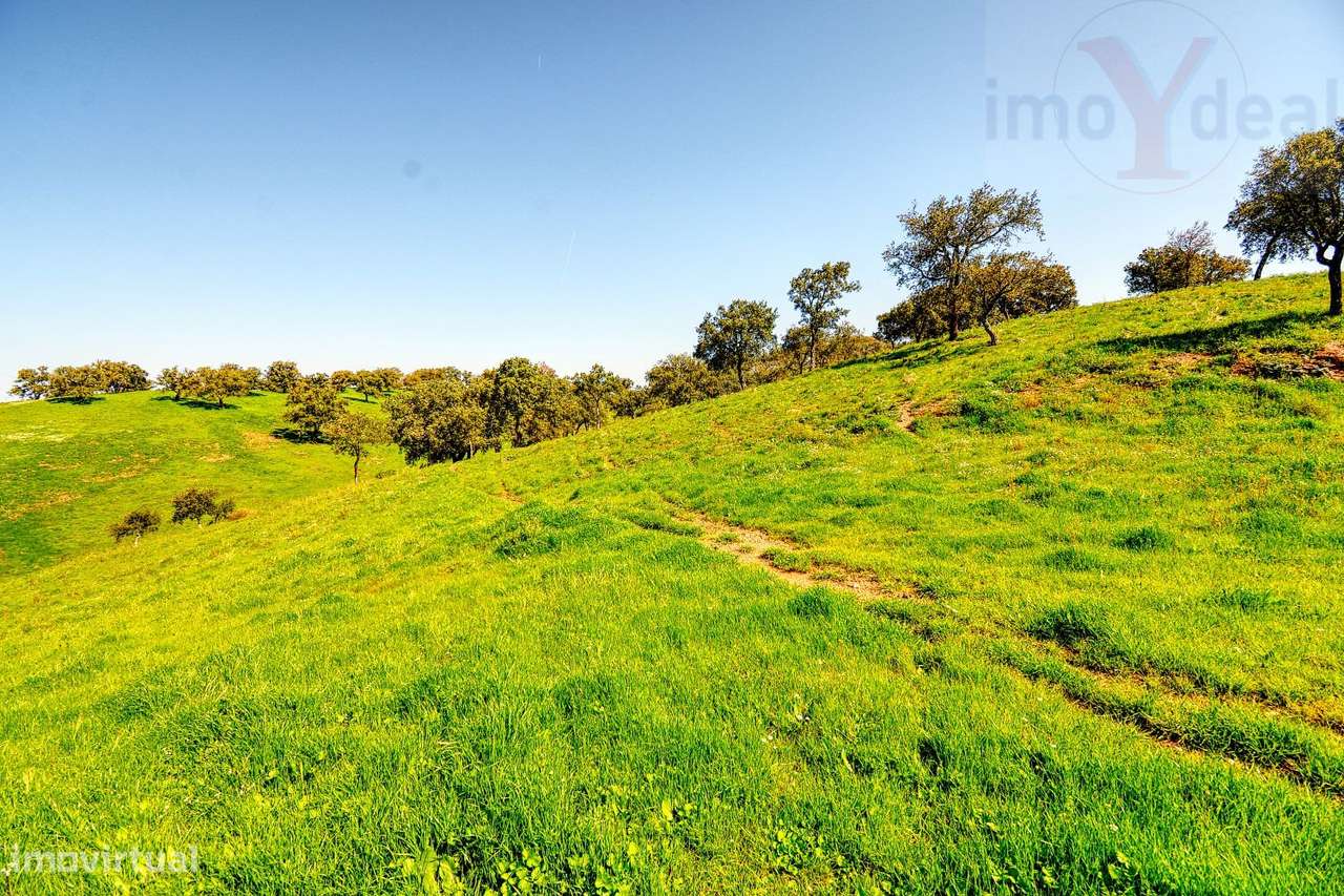 TERRENO EM S.BARTOLOMEU DA SERRA-42
