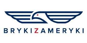 BRYKIZAMERYKI.PL - AUTA Z USA I KANADY logo