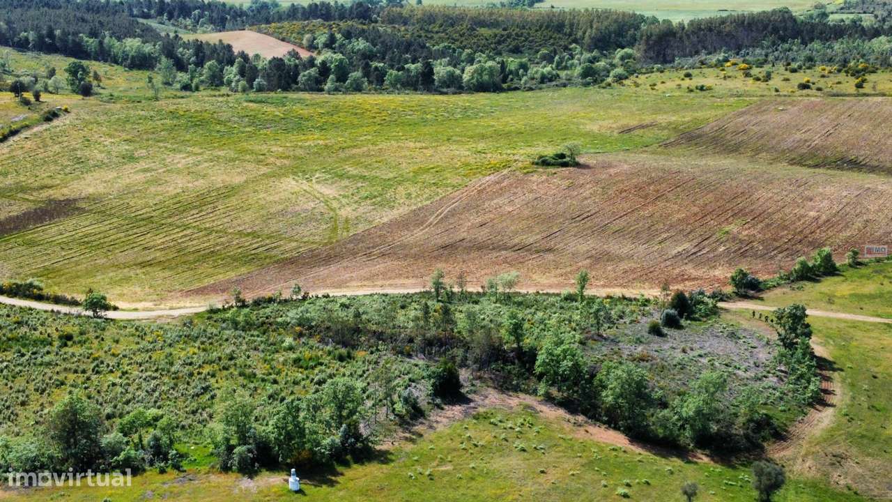 Terreno c/ Regadio - entre Fatela e Capinha - Grande imagem: 2/10