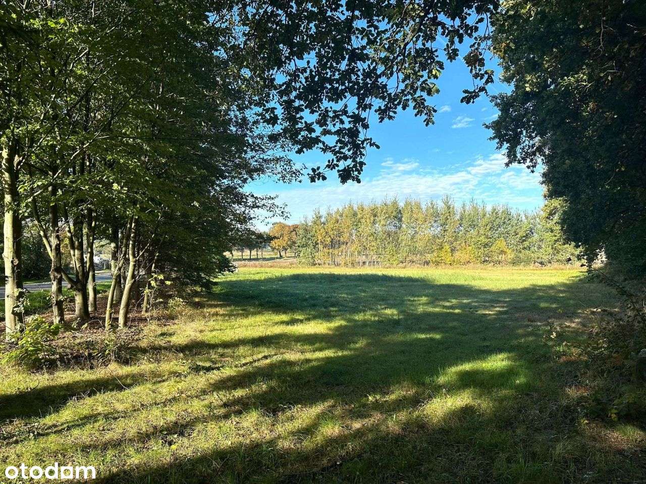 Działka w spokojnym sąsiedztwie | las | 743m2 - Pełny obrazek: 4/7