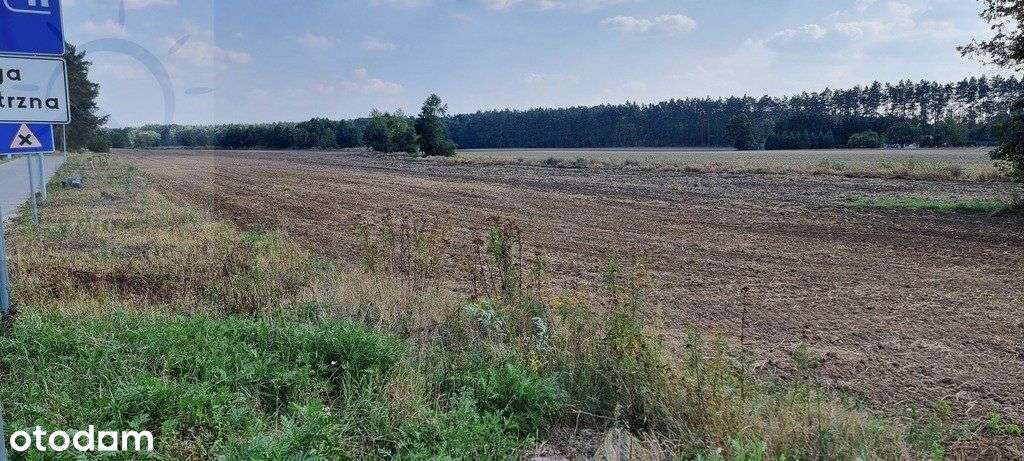 Kształtna działka z dobrym dojazdem-3