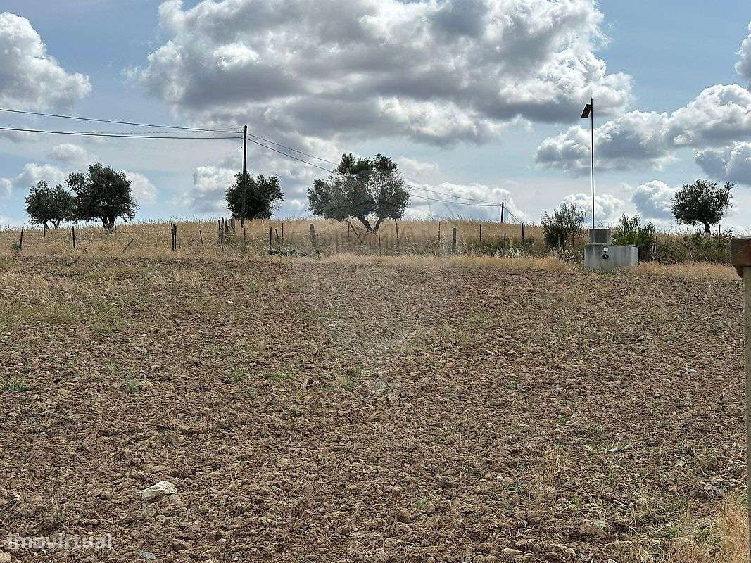 Terreno  para venda - Grande imagem: 5/6