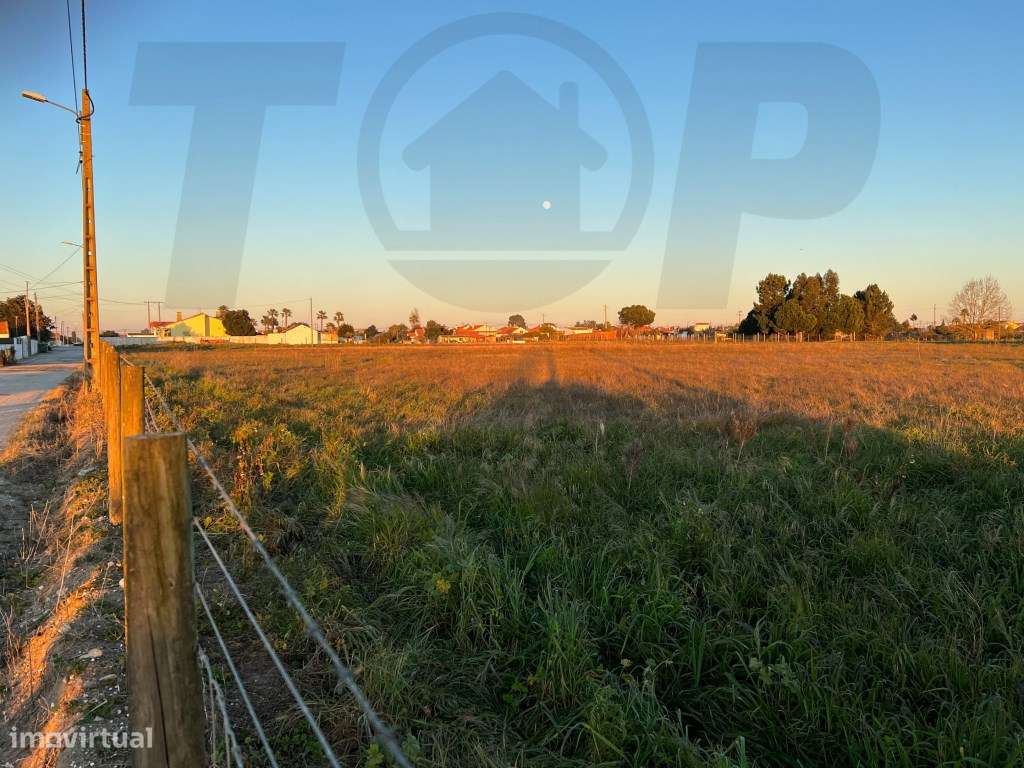 Terreno Urbanizável C/ 20.000m2 - Foros de Salvaterra - 320.000€ - Grande imagem: 2/5