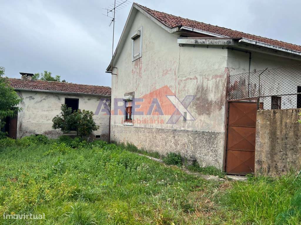 Oportunidade: 2 casas + artigo rústico com 2,0648 ha, perto de Oliv...-18