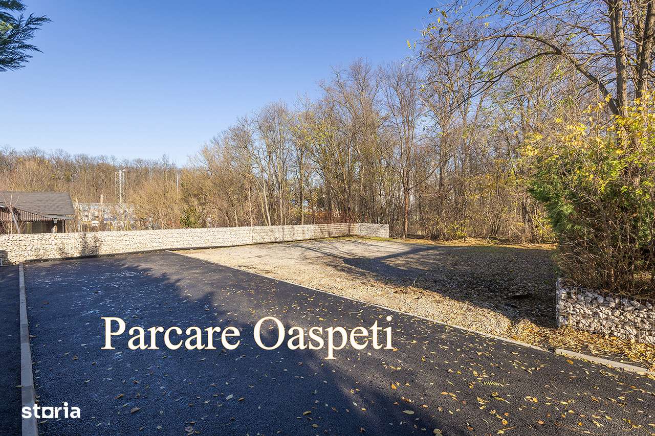 Pădurea Vlăsiei Design Modern Relaxare deplină Vilă cu Piscină-19