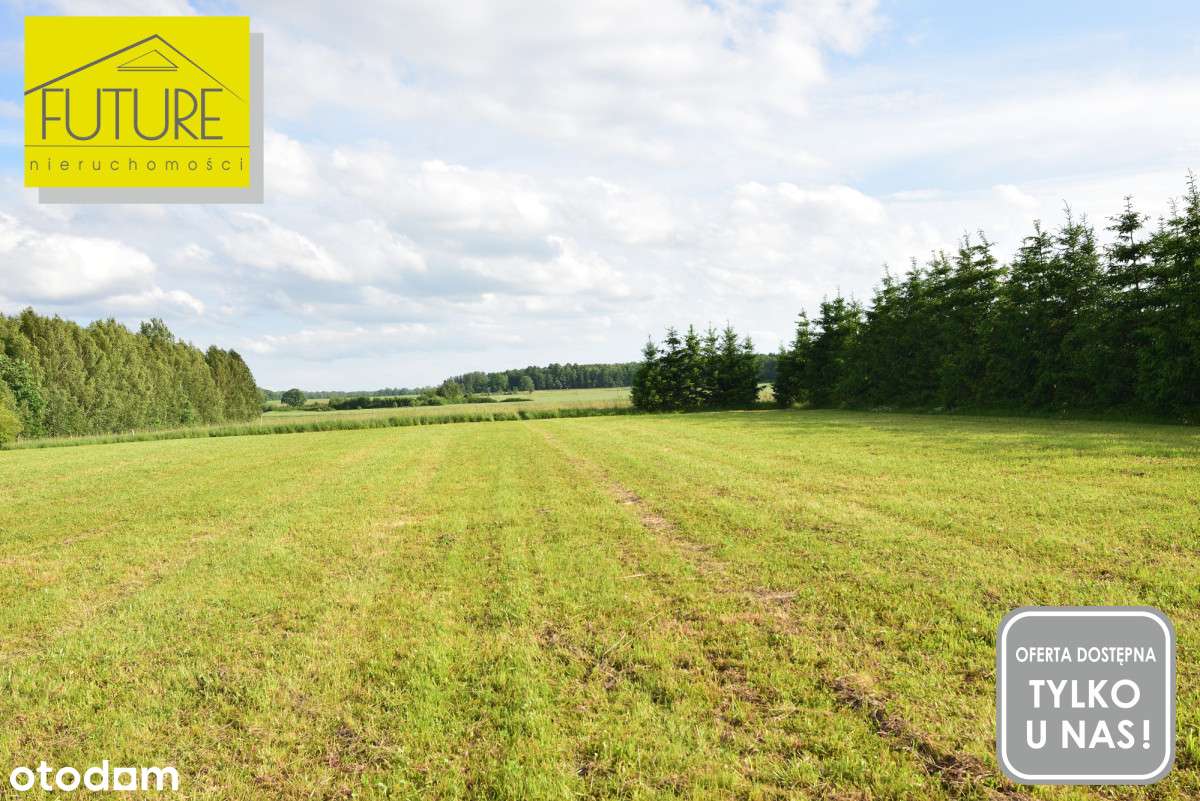 Pięknie położona działka 7483 m2 w Księżnie-5