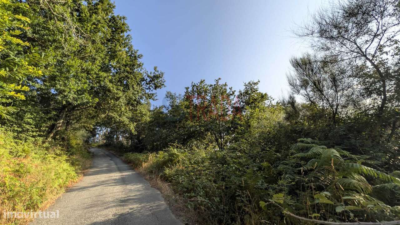 Venda 2 Terrenos Rústicos | 4.810 m² | Bons Acessos | Barros – Vila...-10