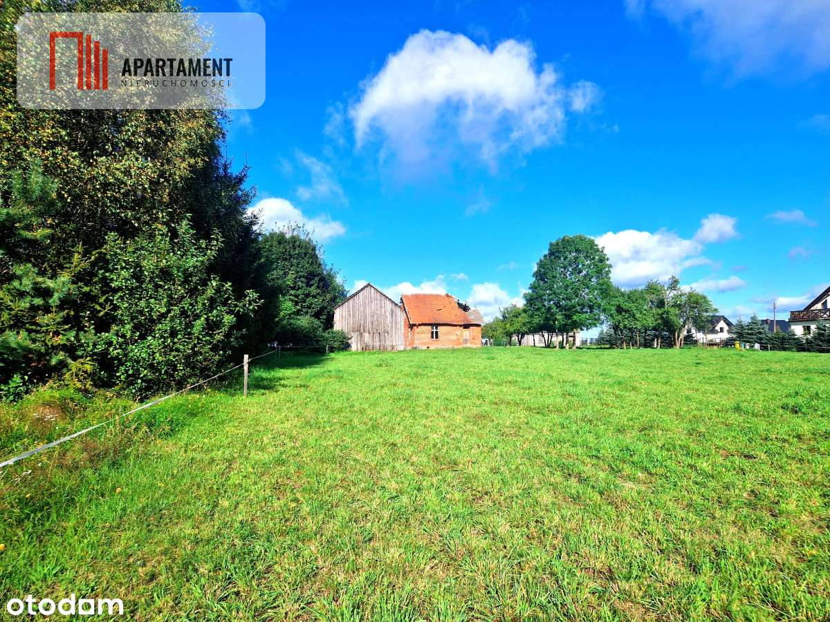 Tylko u nas! Siedlisko ze starymi zabudowaniami. - Pełny obrazek: 5/11