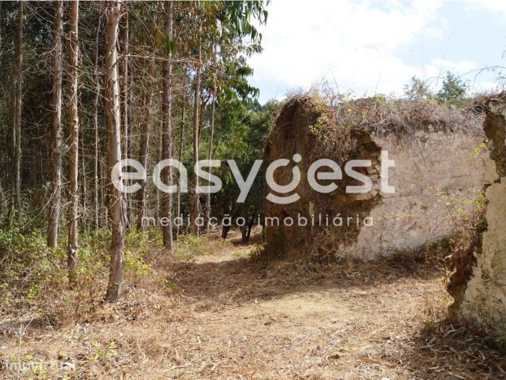 Moradia Isolada em ruínas para reconstruir perto de Ferreira do Zêzere - Grande imagem: 5/19