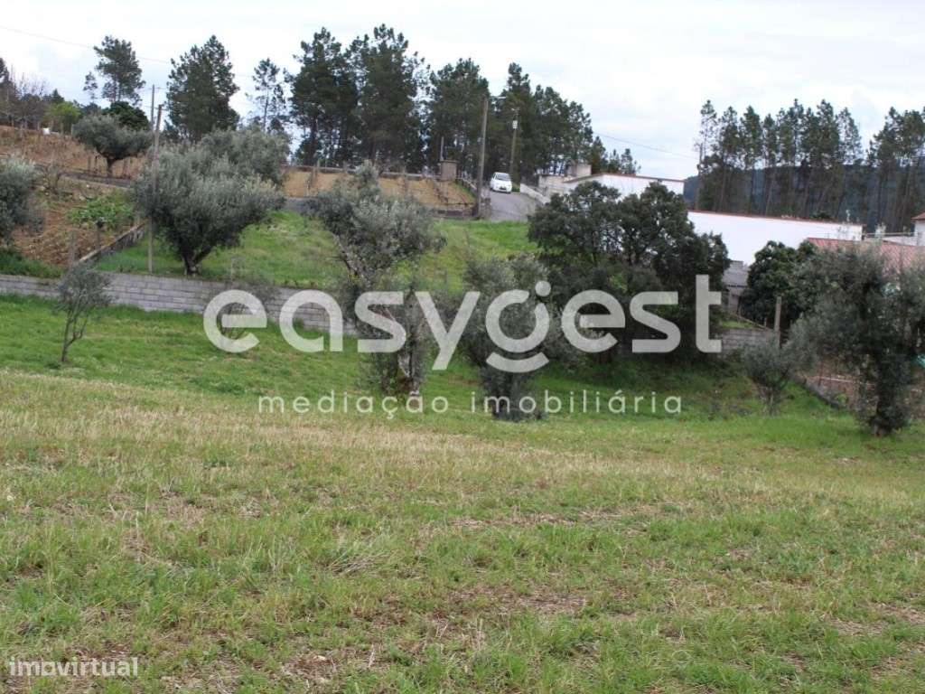 Terreno com 3080m2 de área localizado no Centro de Portugal - Grande imagem: 5/28