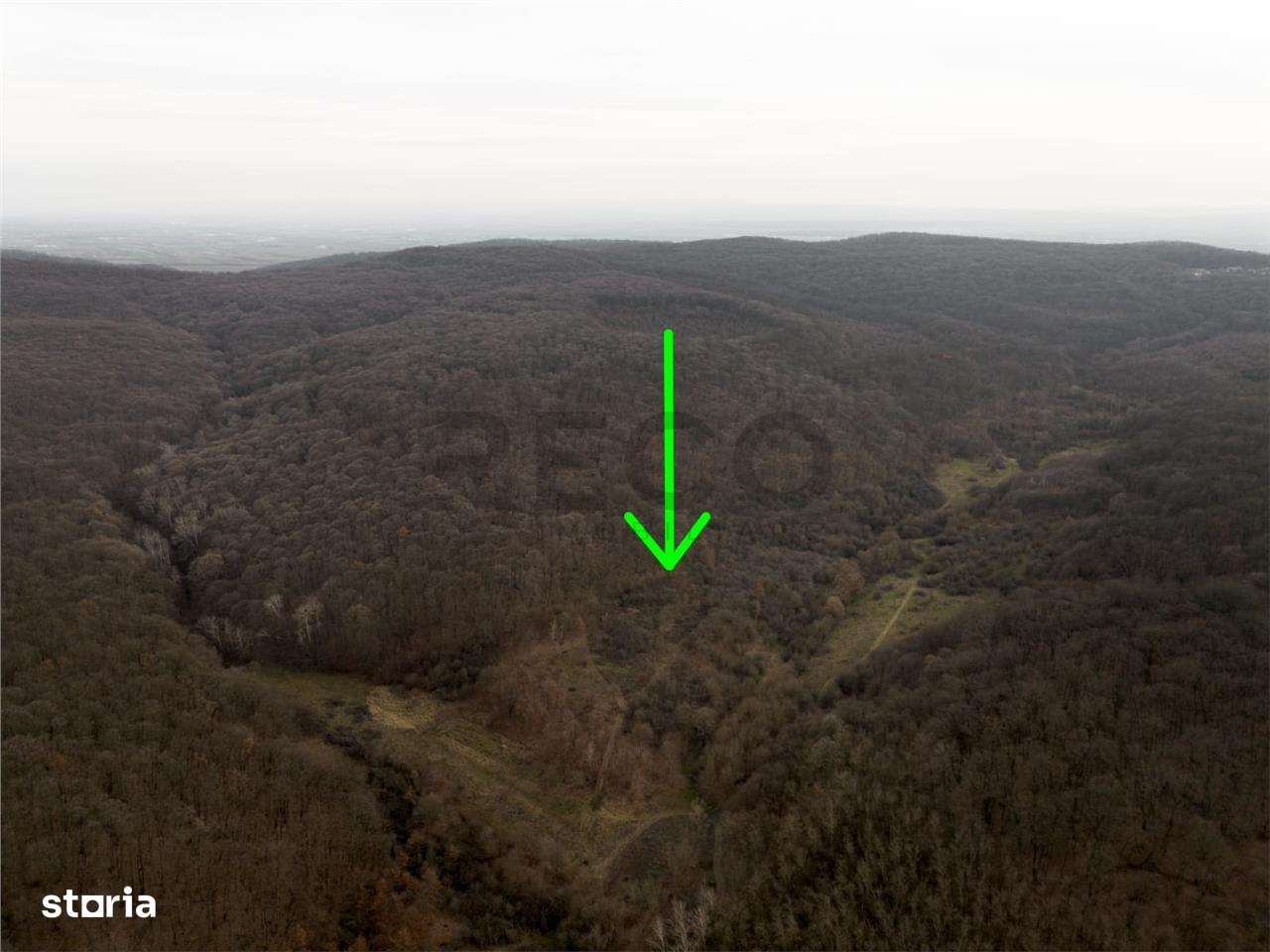 RECO . Teren extravilan . Saldabagiu de munte . - Imagine principală: 3/6