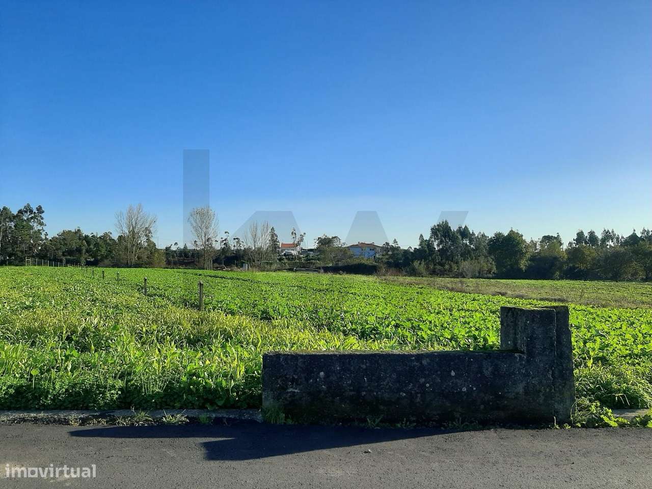 Terreno em Guilhovai (S. João de Ovar). - Grande imagem: 5/12