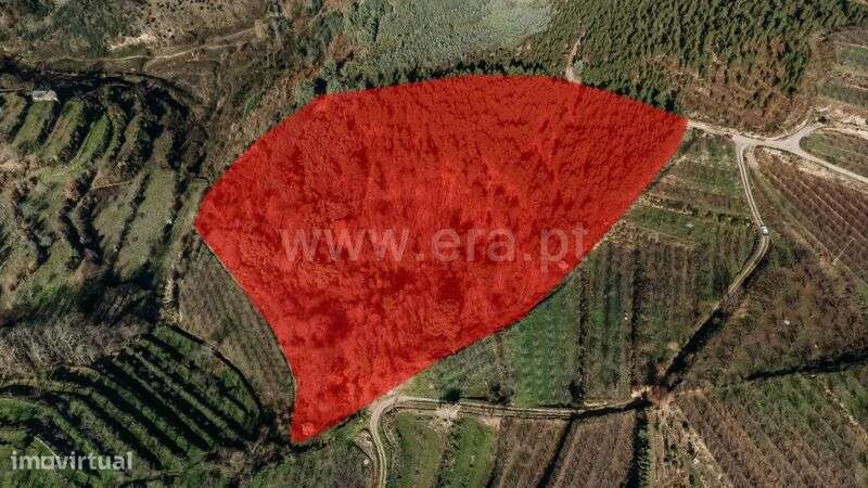 Terreno Rústico / Fundão, Alcaide - Grande imagem: 3/9