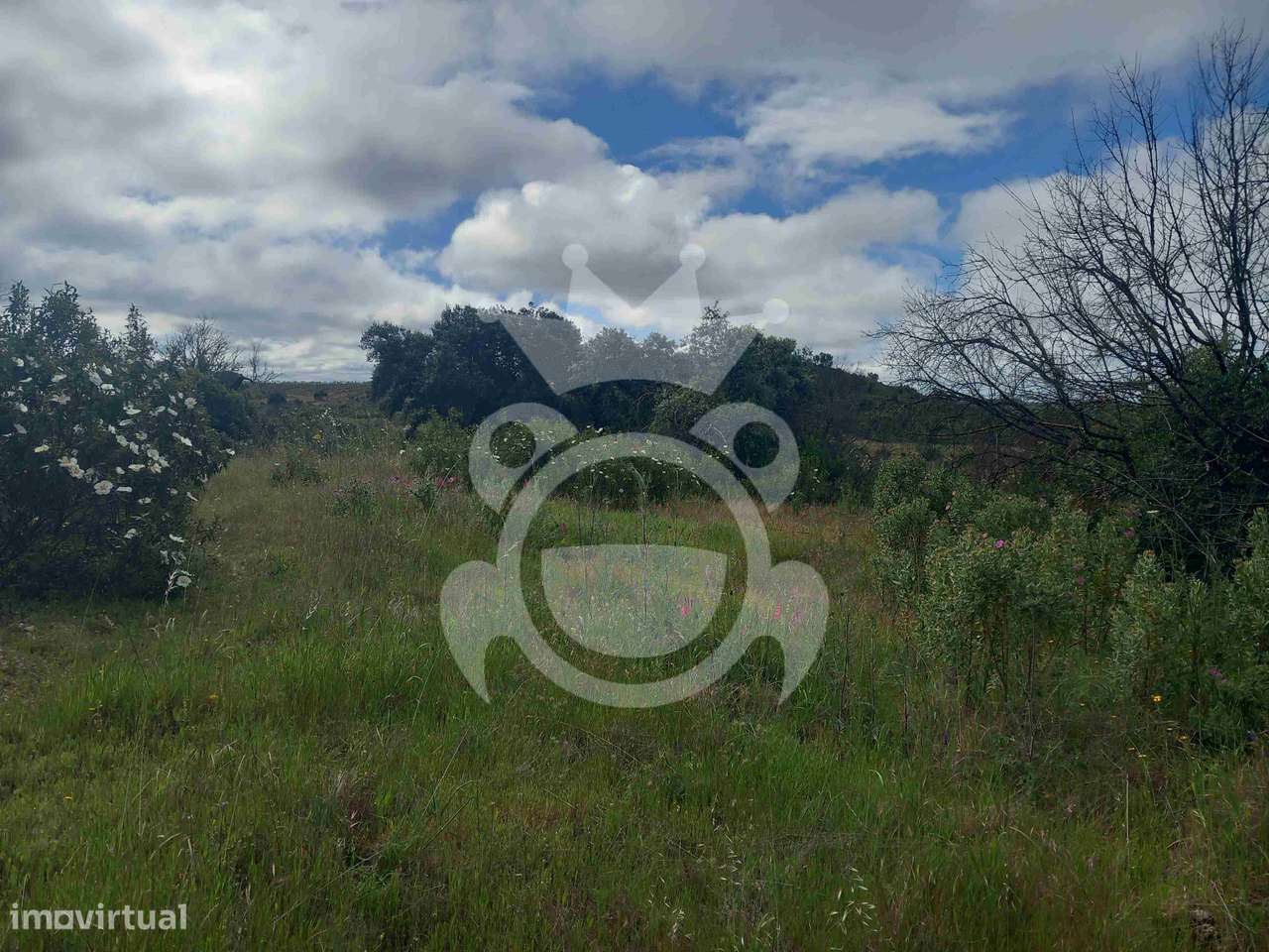Terreno Rústico com ruína - 3Ha-10