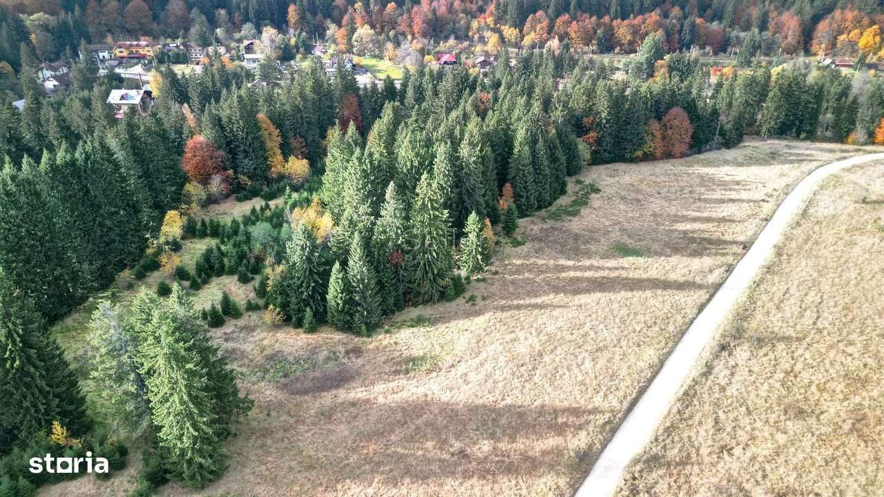 Poiana lui Manole - teren Intravilan - Imagine principală: 2/20