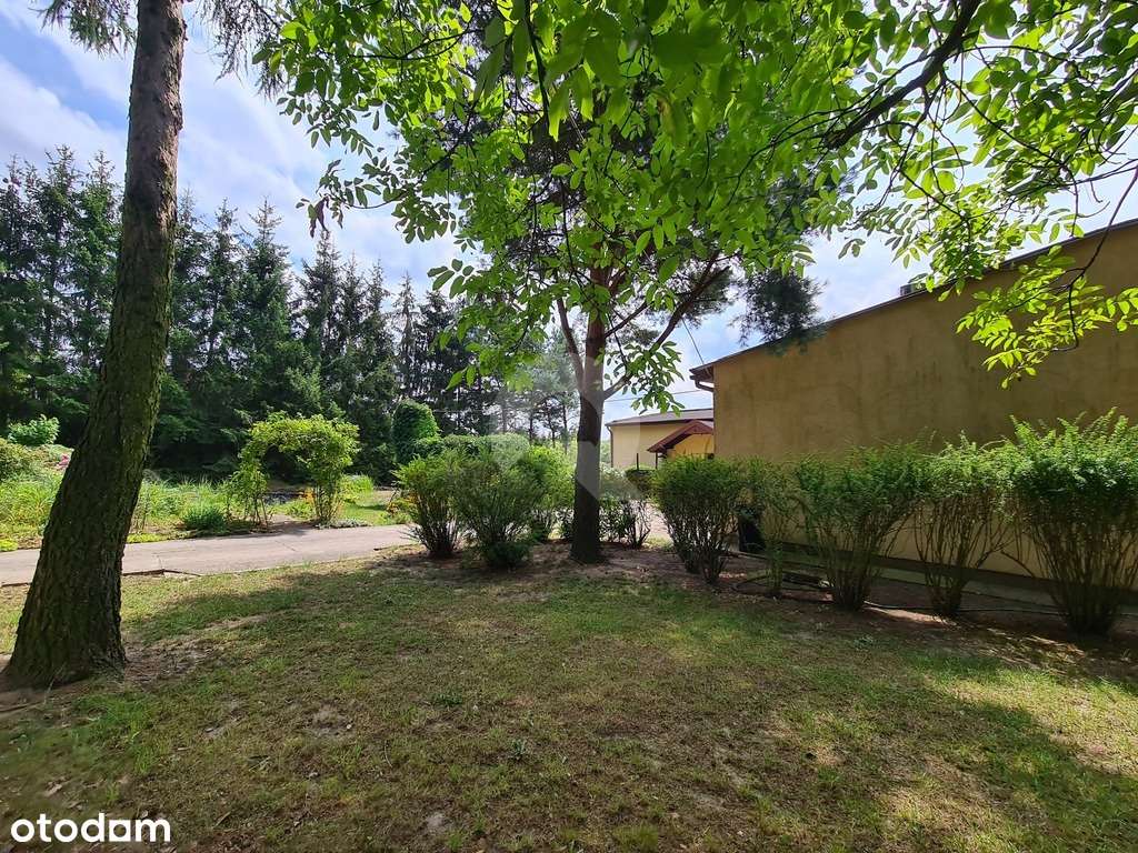 Grzmiąca gmina Żabia Wola dom  na działce  13800m2-7