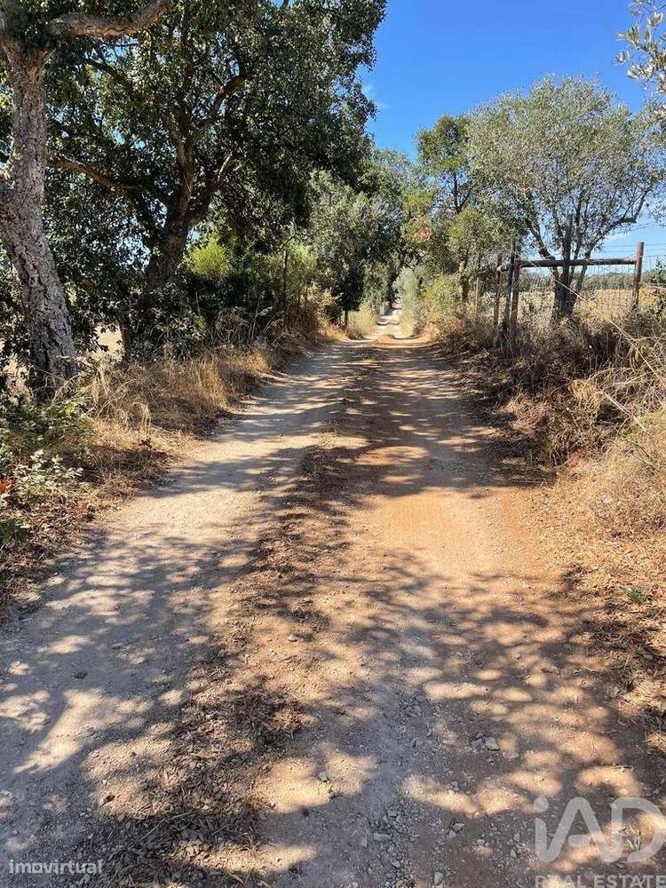 Terreno em Palmela - Grande imagem: 3/6