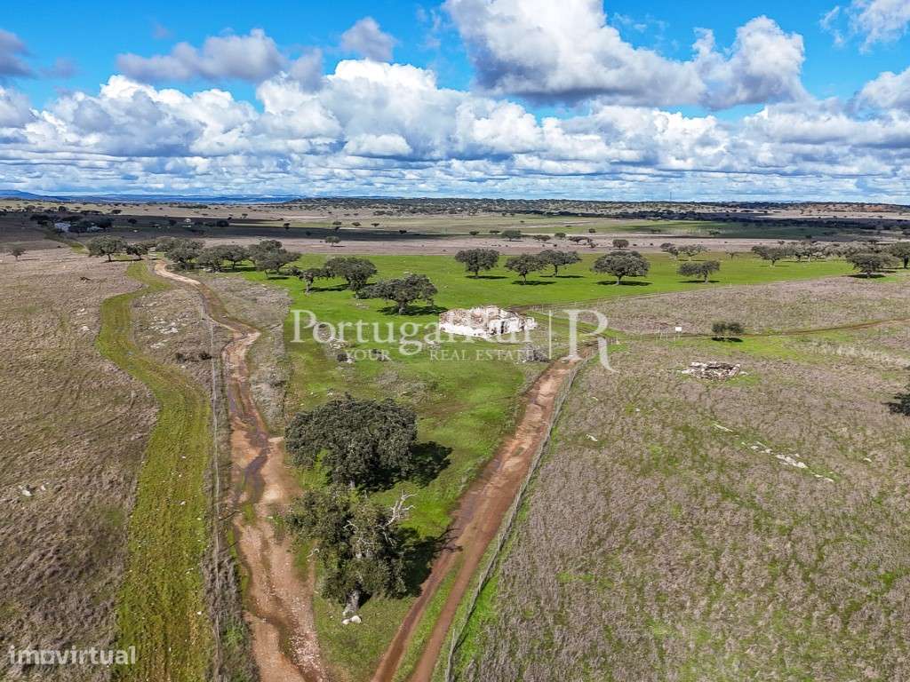 Herdade com 53ha perto do Alandroal - Grande imagem: 3/37