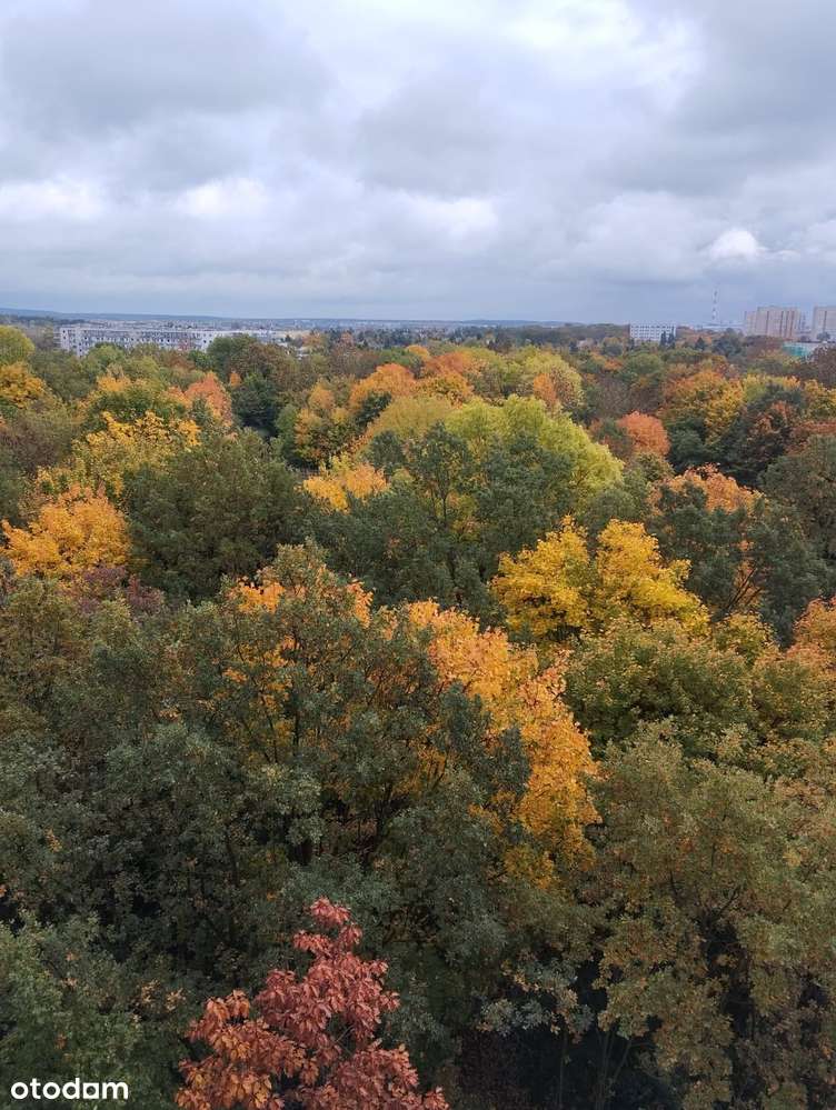 Na sprzedaż 2-pokojowe mieszkanie z panoramicznym widokiem – Piątkowo